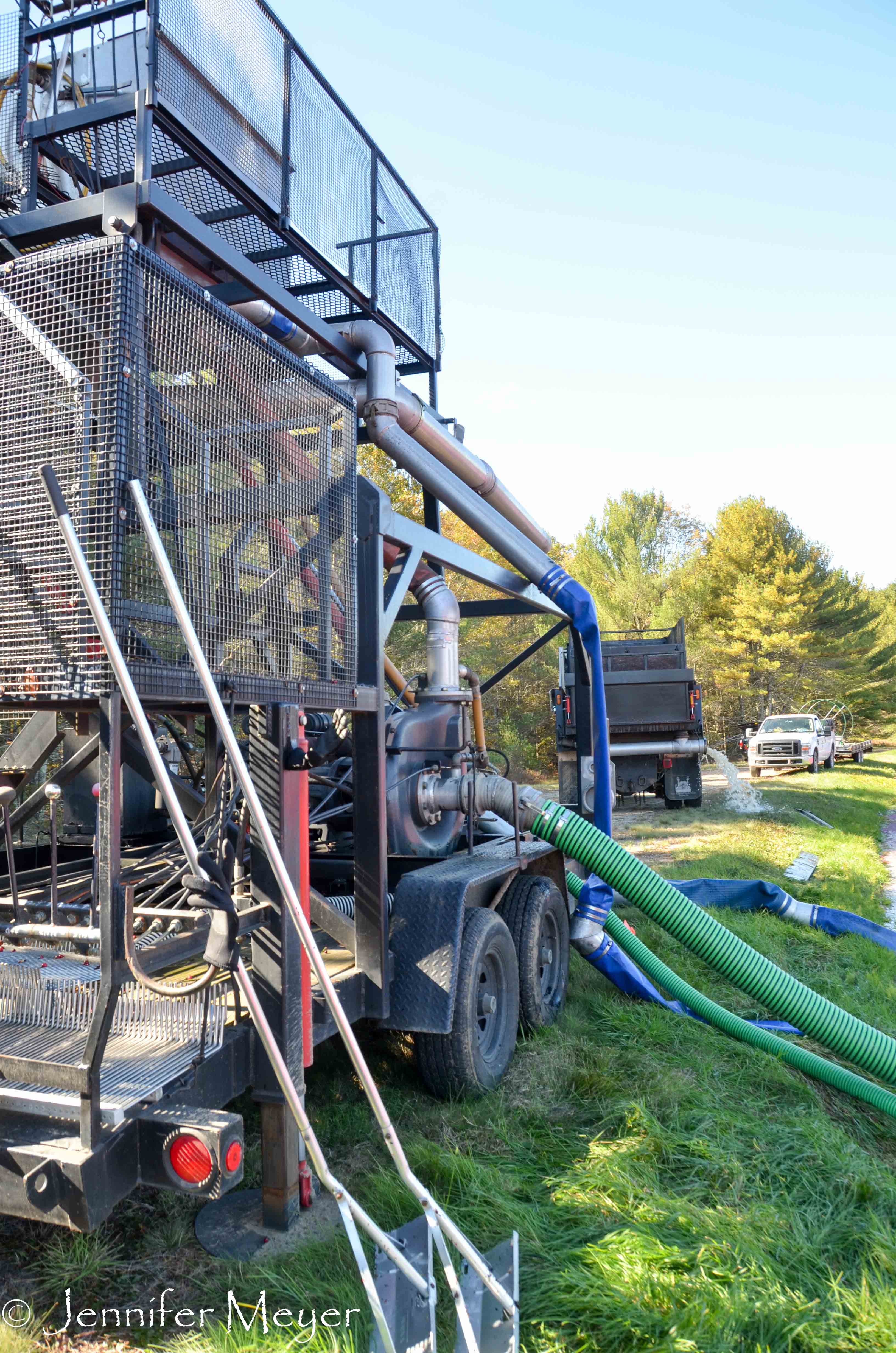 The berries are vacuumed up through this machine and sprayed into trucks.