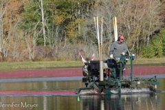 Two men driving "egg beaters" were working the bog.