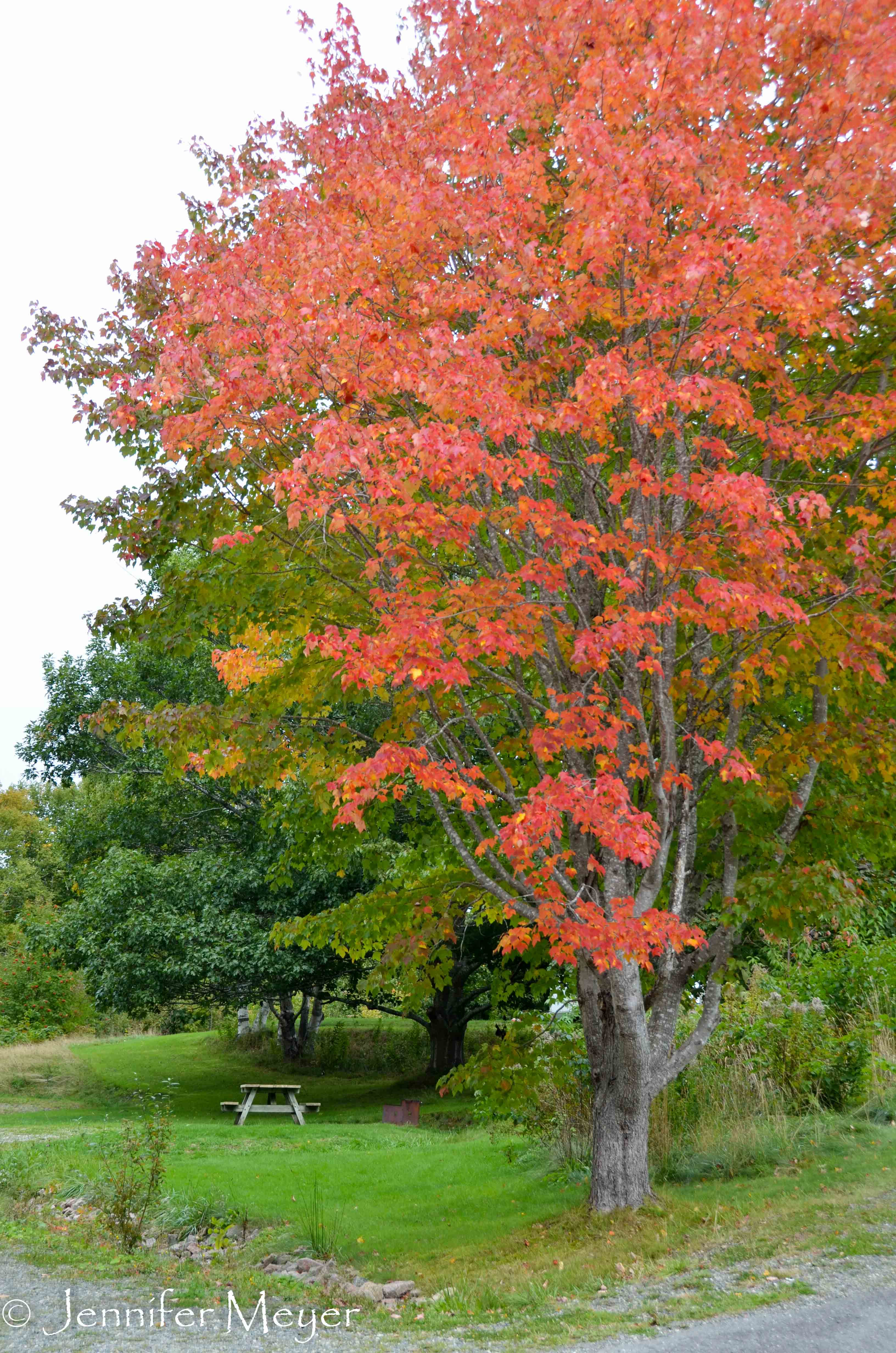 The next day, we walked around the campground.