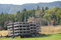 More lobster traps.