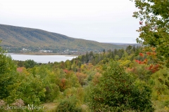 Trees starting to turn.