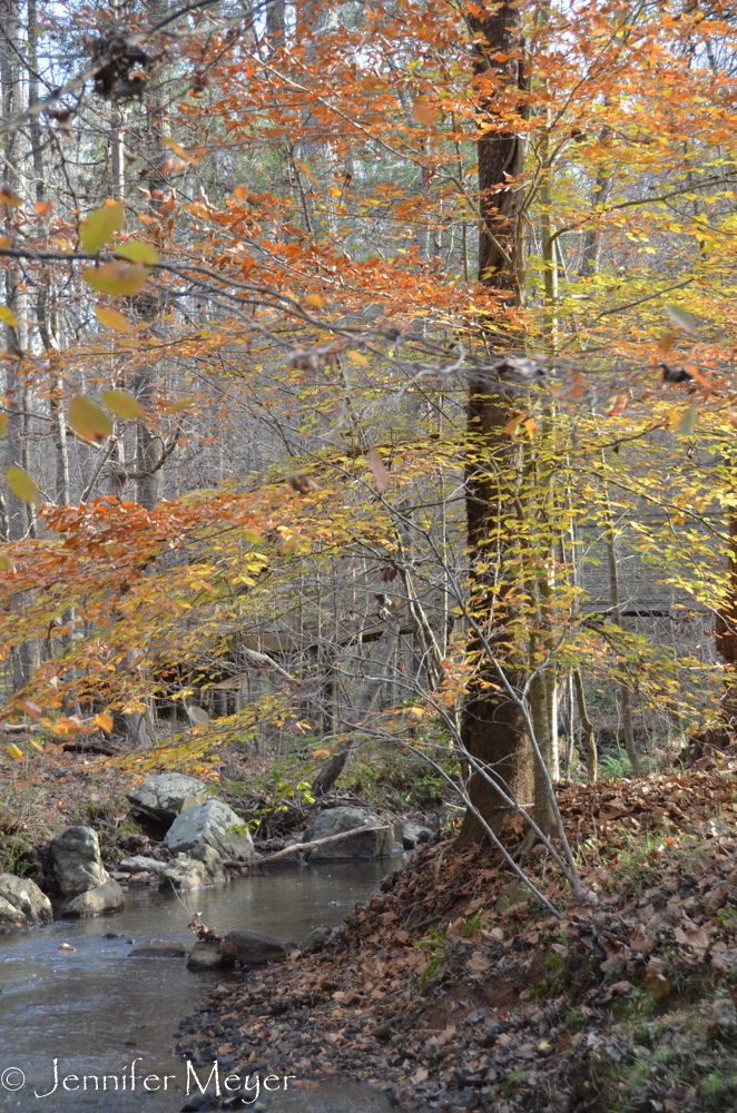 It's a huge park with trails for biking and hiking.