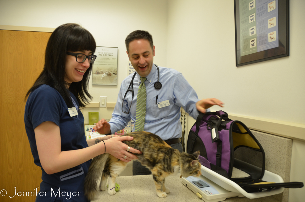 The doctor and vet tech were wonderful.