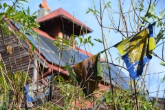 Prayer flags and solar panels.