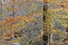 It's a huge park with trails for biking and hiking.