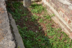 This was an odd little sunken grave, walled off with bricks.