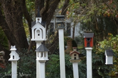 A yard full of birdhouses.