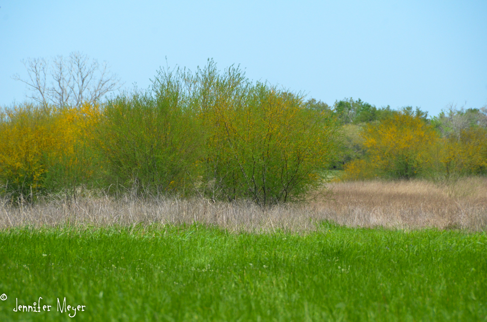 Such bright colors!