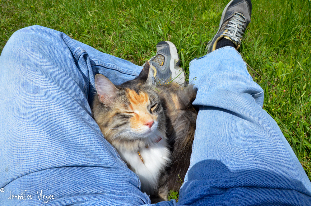 We just hung out in the sun and relaxed.