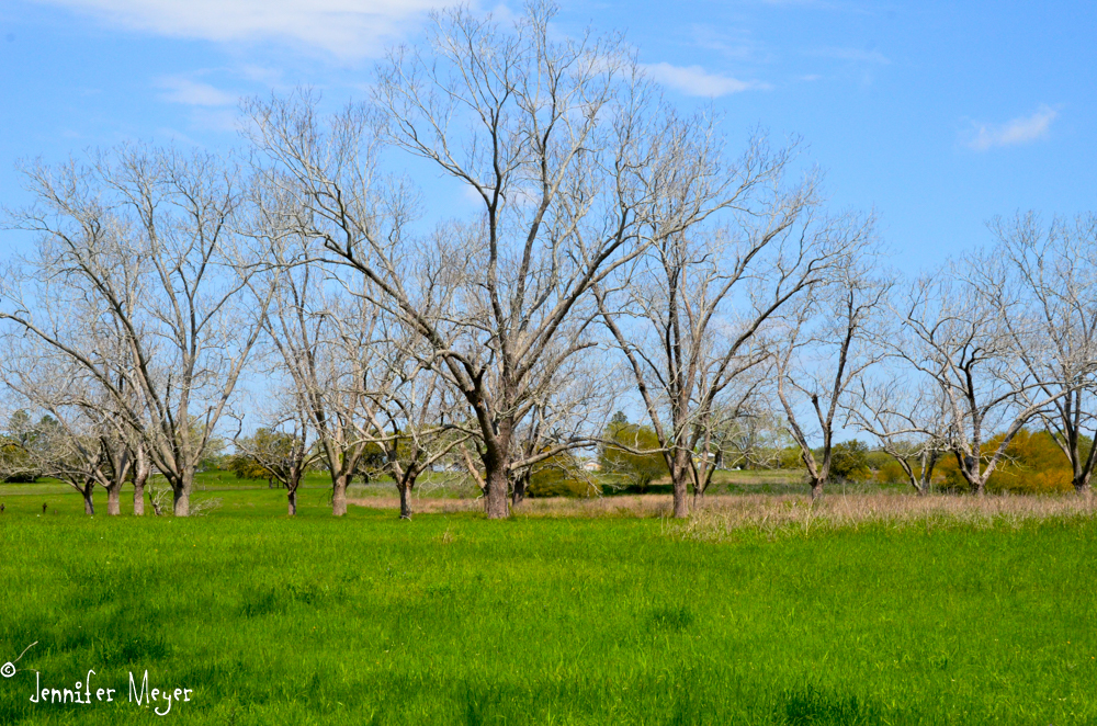 Wide open spaces.