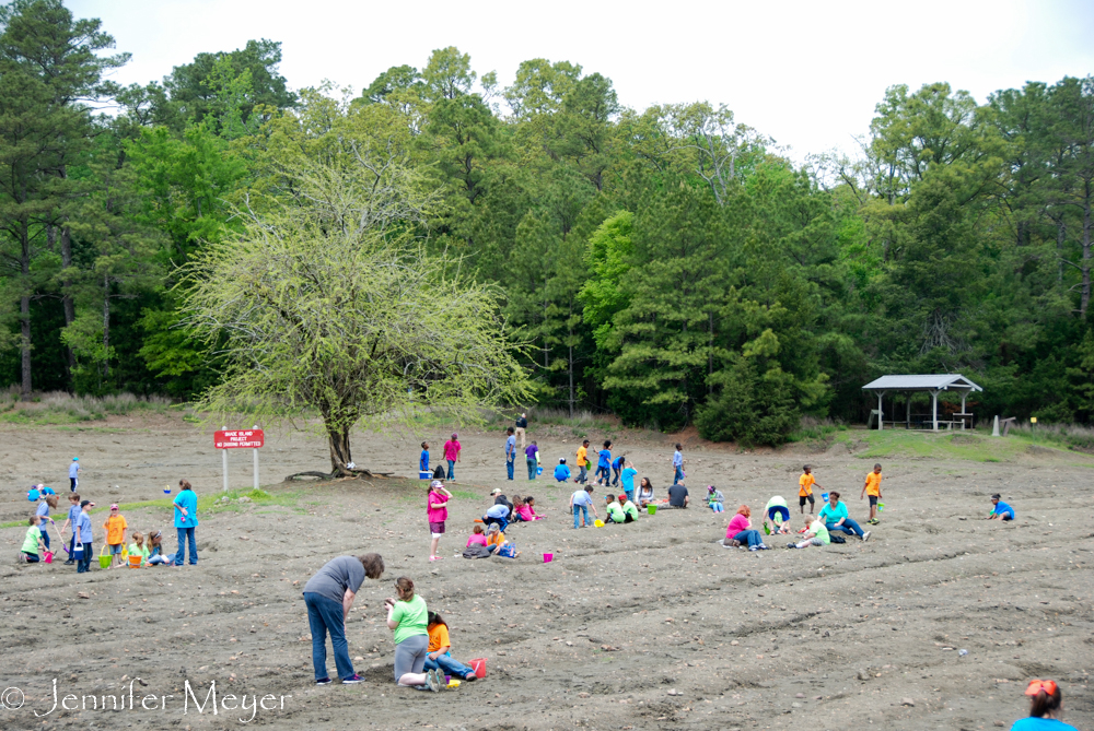 Field of school kids.