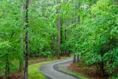 Accessible hiking path.