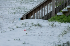 Sand is taking over the stairs.