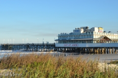 Joe's Crab Shack.