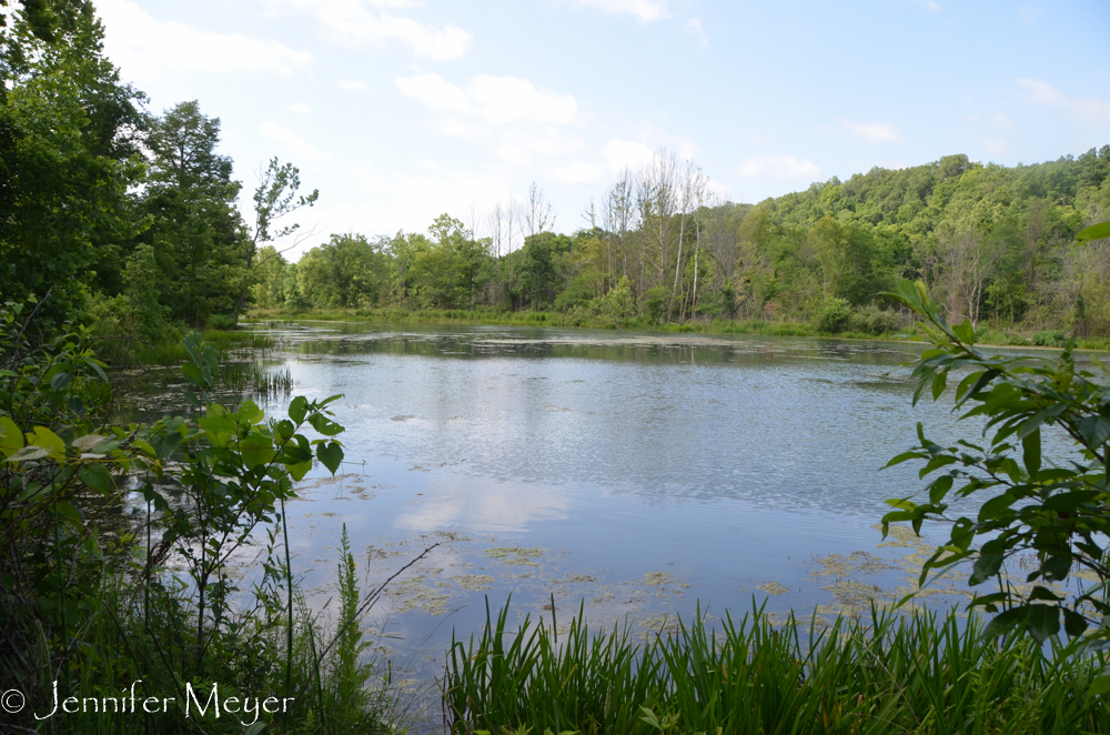And there was the lake.