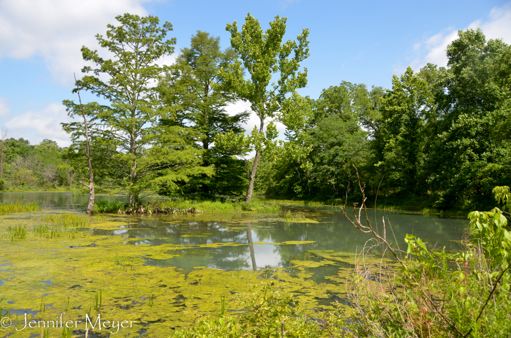 That island had seemed so far away when I was little.