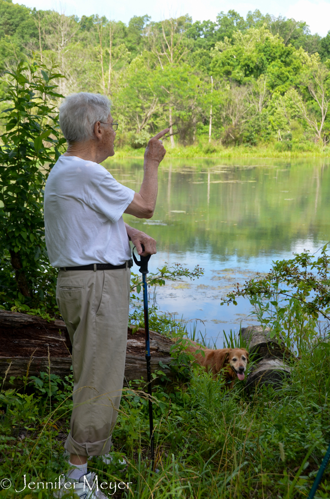 Dad wonders if the house hadn't been further down the lakeside.