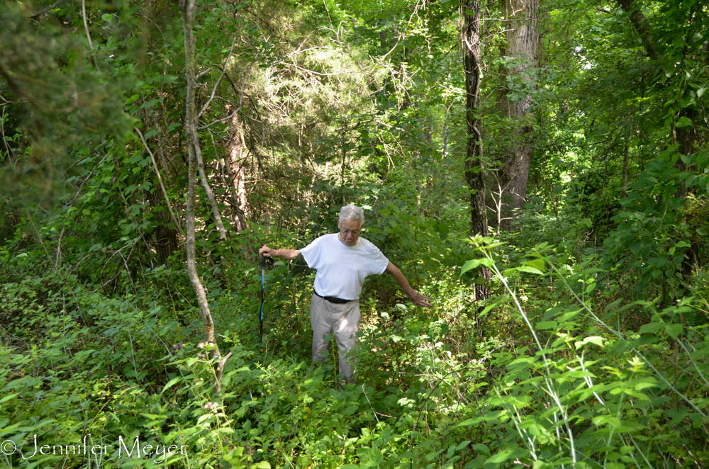 We tromped through woods.