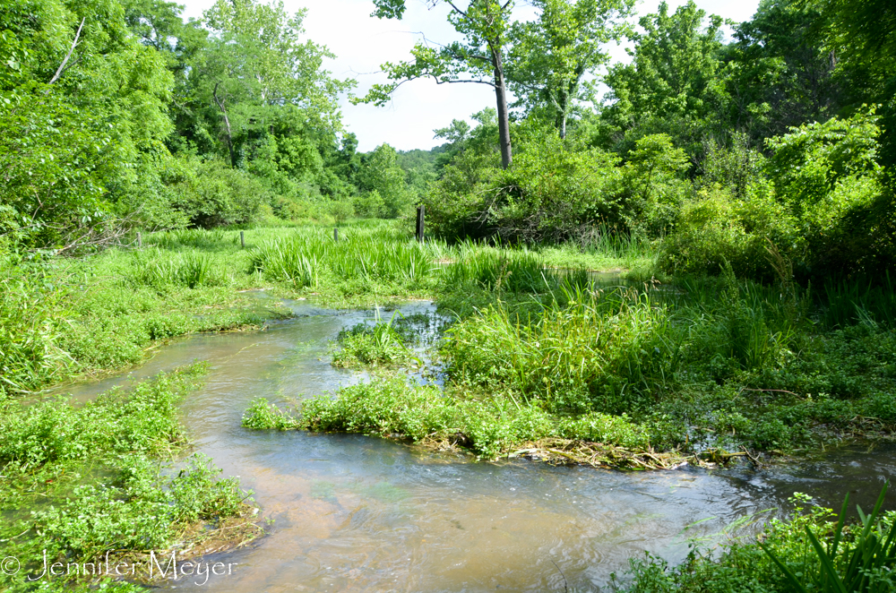 And through another stream.