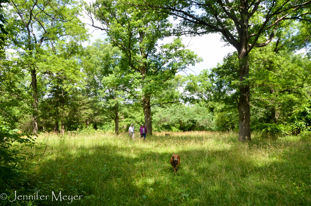 One last walk around the property.