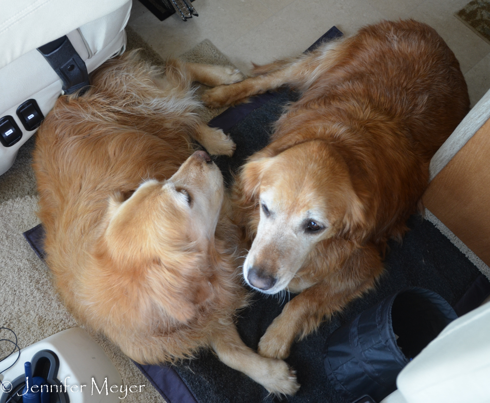 On the drive home, the girls got cozy.