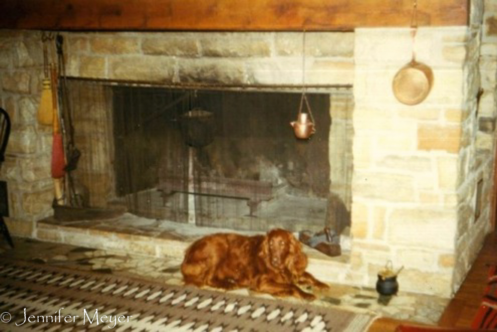 Sheila on the hearth.