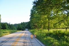 There were no cars on the road at all.