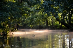 River steaming in the late afternoon sun.