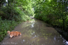 In the morning, the puddle on the road was still just as deep.