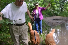 We made our way around it.