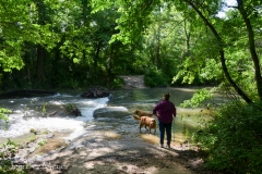 Soon we came to the stream across the road.