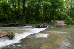 But now it was a fast river.