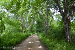 An easy part of the road.