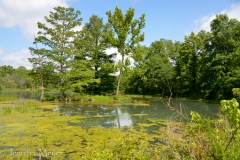 That island had seemed so far away when I was little.