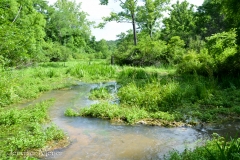 And through another stream.