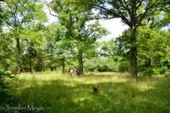 One last walk around the property.