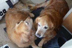 On the drive home, the girls got cozy.