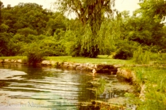 My cousin swimming in the spring.