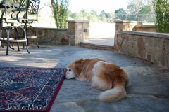 Bailey was worn out by Keebler.