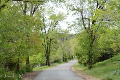 We were right next to the city's main bike/walking path.