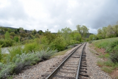 The train tracks run right along the river, so we'd hear it and see puffs of steeam.