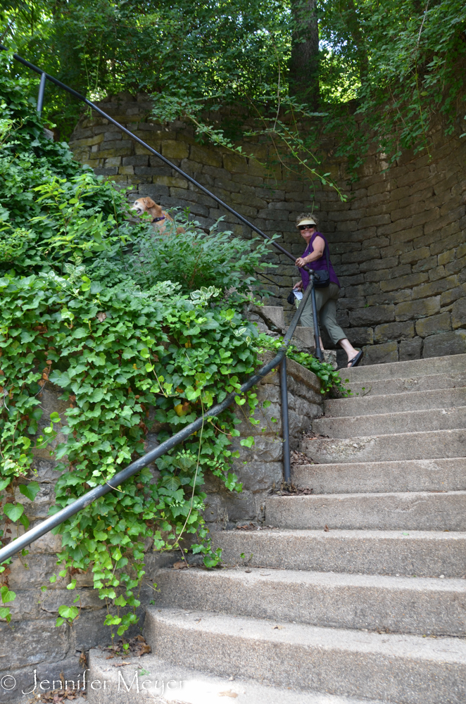 These stairs took us on a walking trail through a neighborhood.