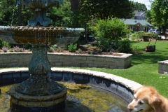 It was so hot, Bailey almost jumped in the fountain.