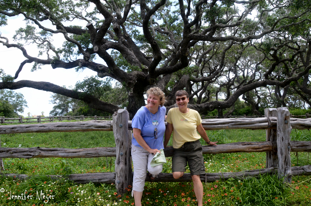 Quick pose between swatting.