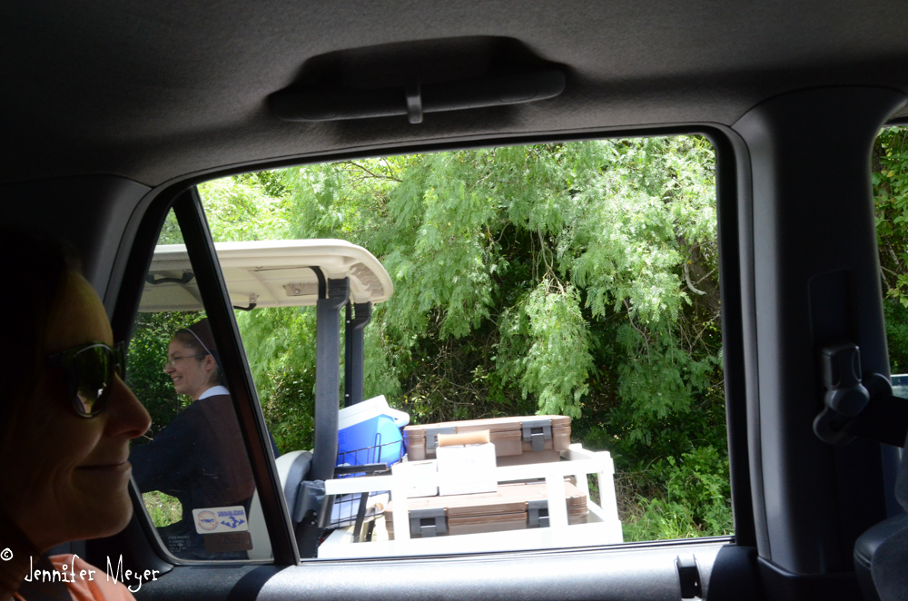 Nun in a golf cart.