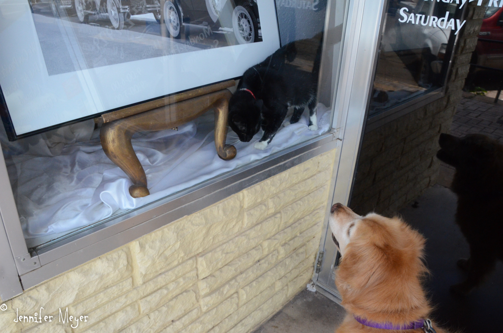 But Bailey found a little friend.