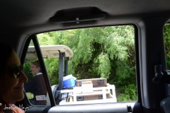 Nun in a golf cart.