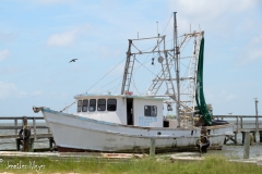 We drove into Rockport for lunch.