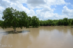More flooded land on the drive home.