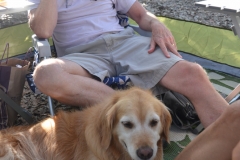 It was hot but more or less bug free in the shelter.